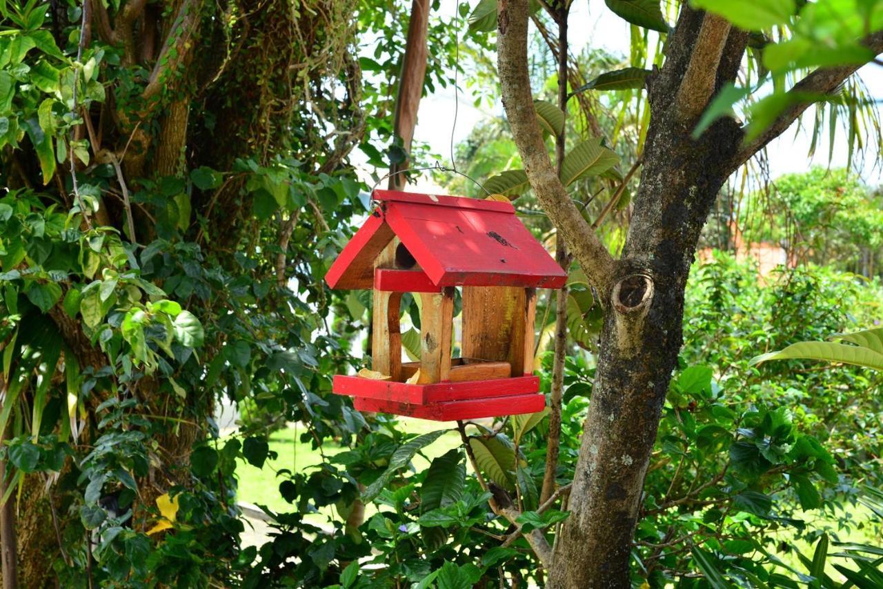 Pousada Arquipelago Florianópolis Dış mekan fotoğraf
